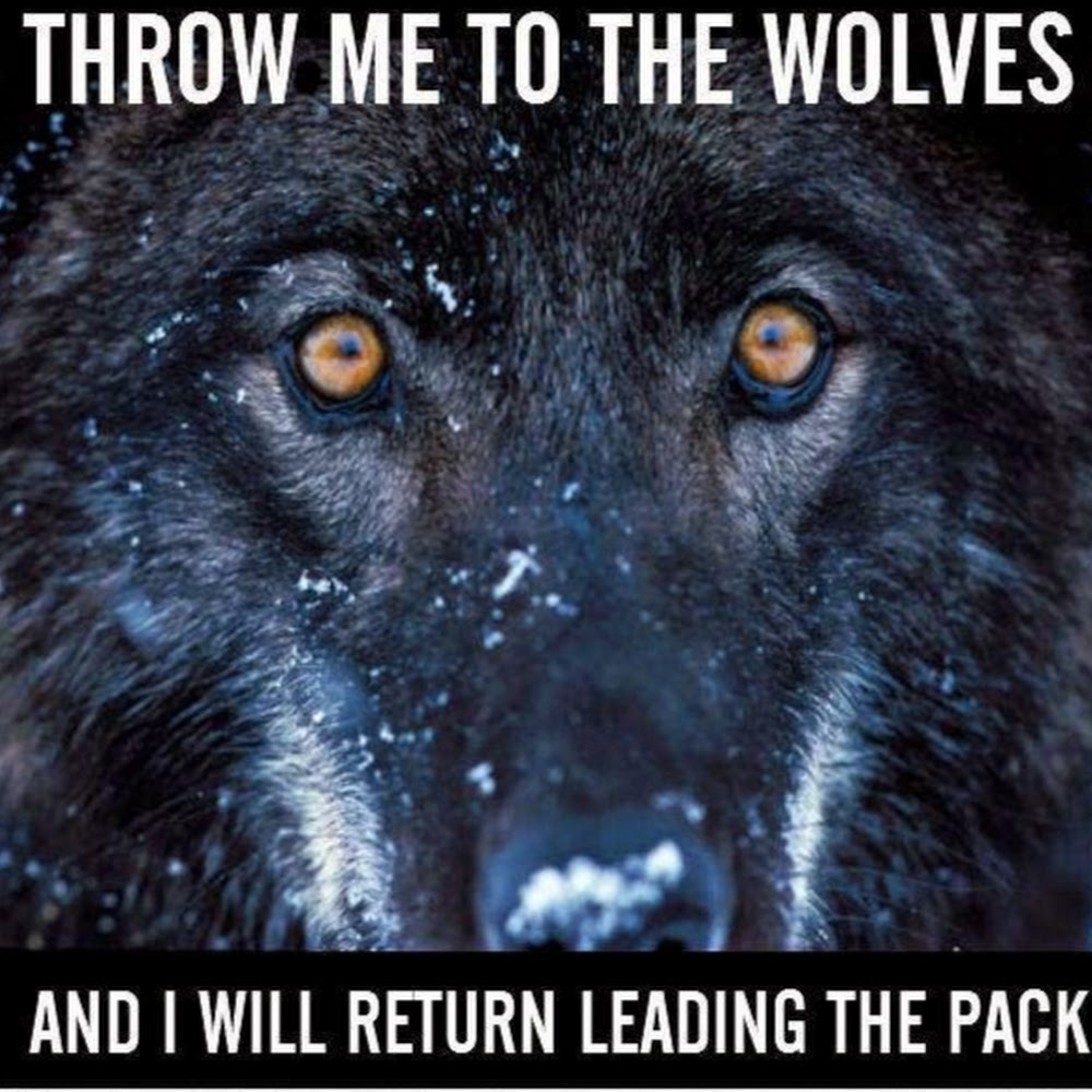 Meet your Posher, Night